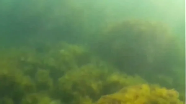 Crazy diver took me on camera while I am swimming in the sea and flashing my hairy pussy