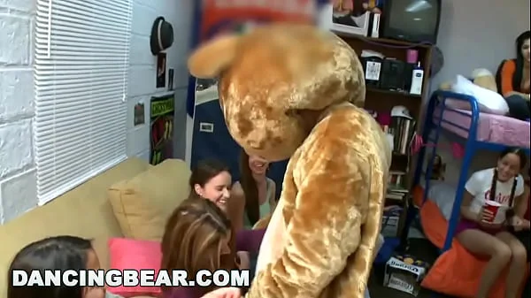 DANCING BEAR - Everyone's Favorite Mascot Invades Dorm And Swings Dick For Horny Sorority Sluts